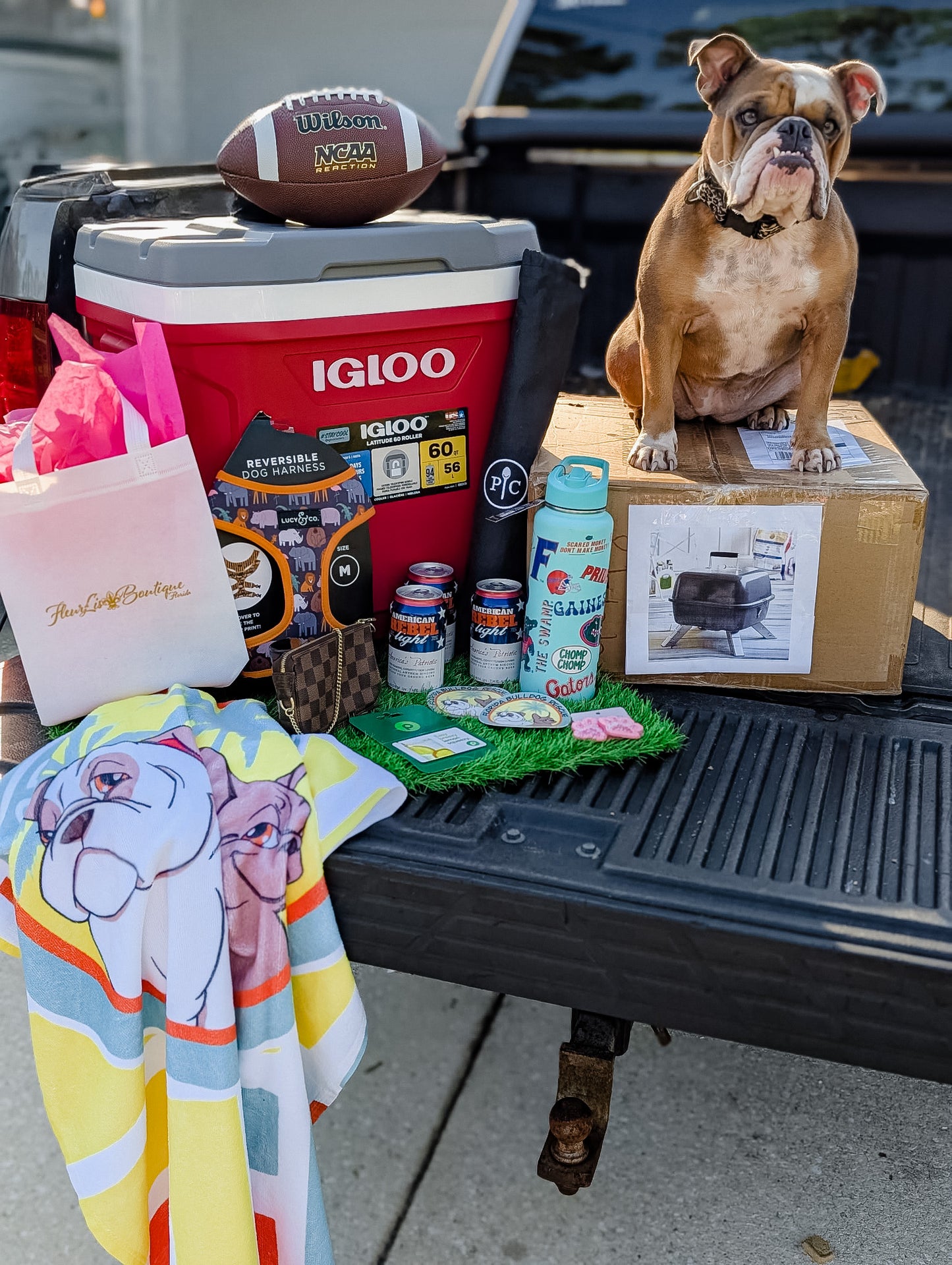 Florida Georgia Ticket Raffle Benefiting Florida Bulldog Rescue