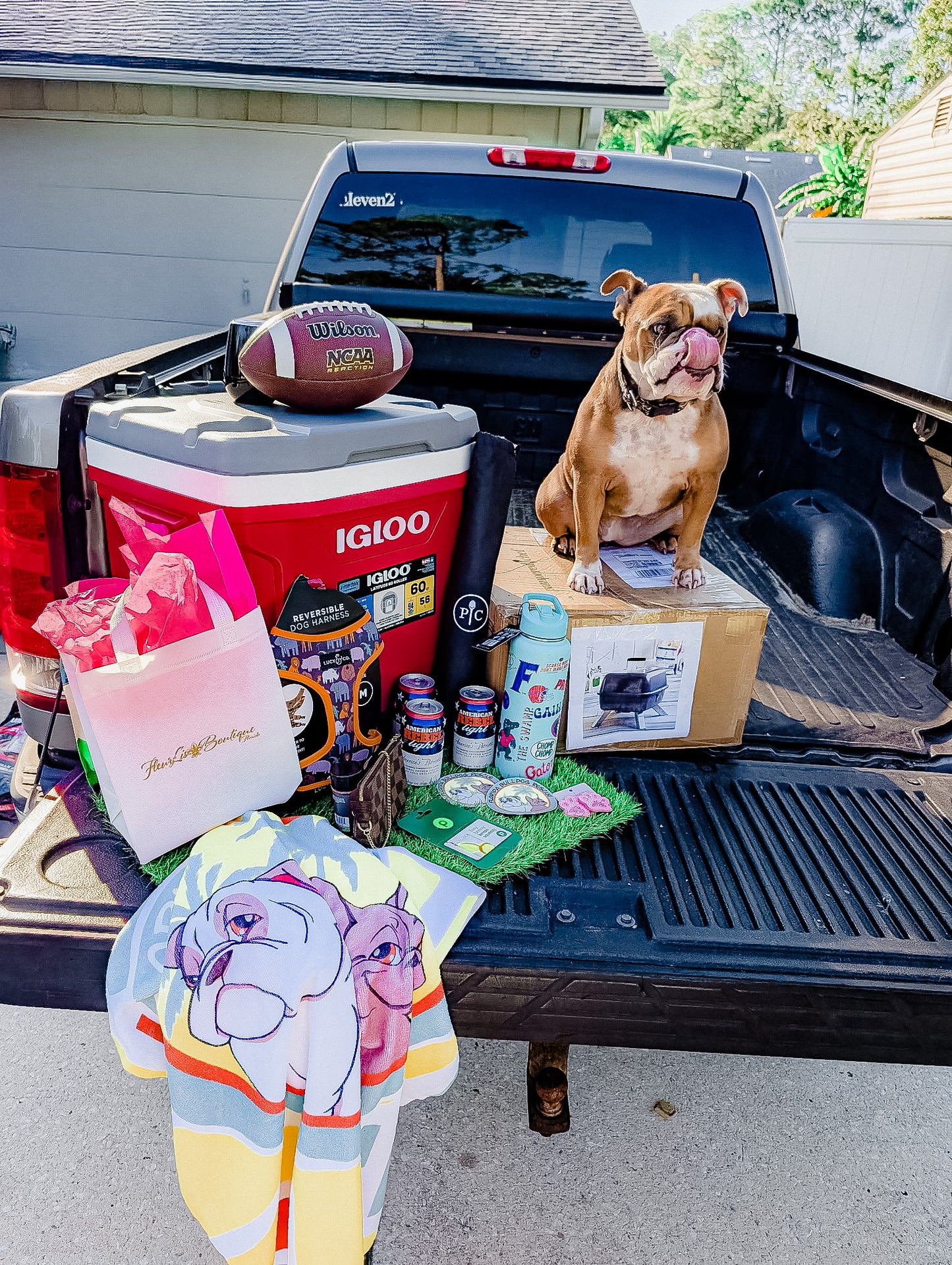 Florida Georgia Ticket Raffle Benefiting Florida Bulldog Rescue