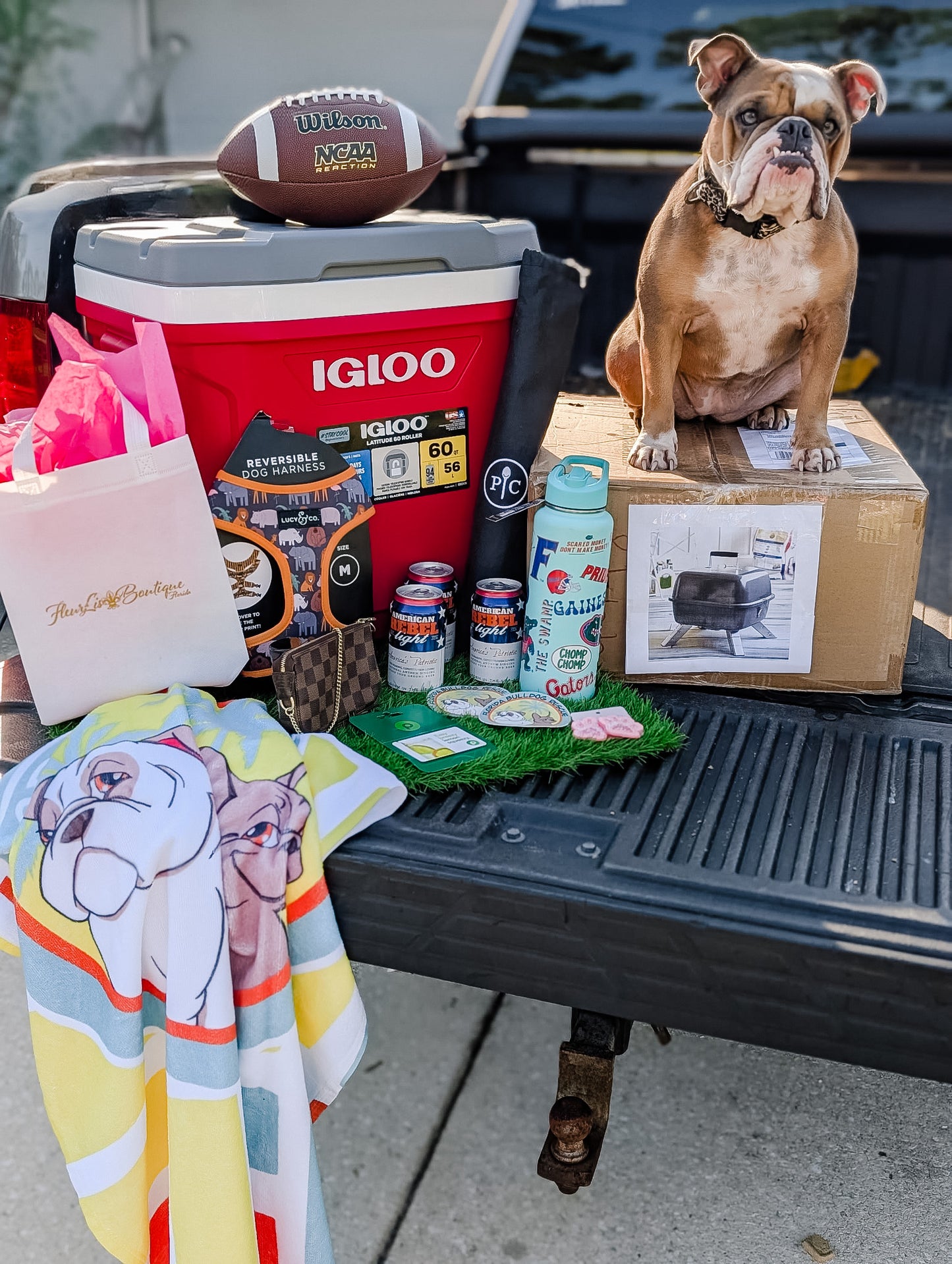 Florida Georgia Ticket Raffle Benefiting Florida Bulldog Rescue